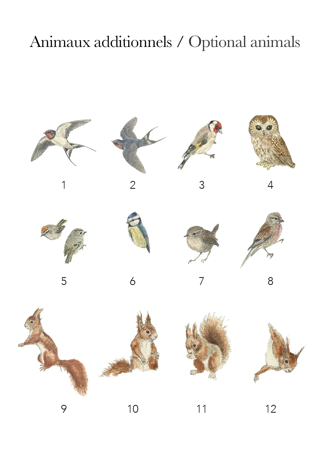 Miniature 4