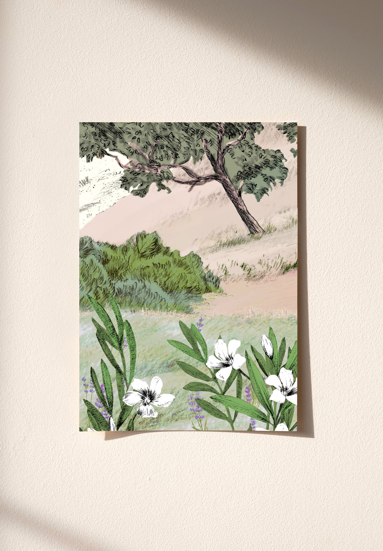 Miniature 2
